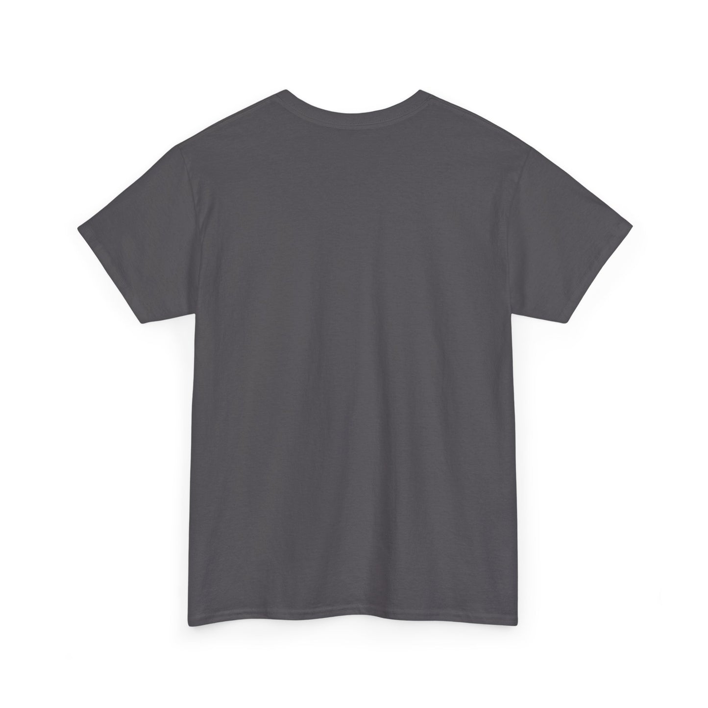 American Football Graphic Tee, Unisex Heavy Cotton T-Shirt, Sport Fan Apparel, Game Day Outfit, Casual Wear